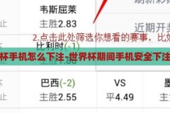 世界杯手机怎么下注-世界杯期间手机安全下注指南，世界杯期间手机安全下注指南，保障您的下注安全与隐私