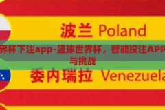 篮球世界杯下注app-篮球世界杯，智能投注APP的革新与挑战，篮球世界杯智能投注APP，革新与挑战并存的体育竞猜新生态