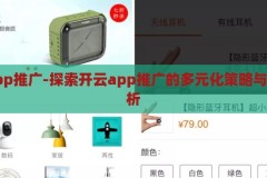 开云app推广-探索开云app推广的多元化策略与成效分析，开云app推广，多元化策略与成效分析的探索
