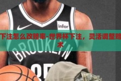 世界杯下注怎么改赔率-世界杯下注，灵活调整赔率的艺术，灵活调整，世界杯下注中的赔率艺术