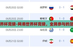 网易世界杯竞猜-网易世界杯竞猜，全民参与的足球盛宴，网易世界杯竞猜，全民参与的足球盛宴