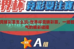 世界杯竞猜彩票怎么玩-世界杯竞猜彩票，一场智慧与运气的精彩碰撞，智慧与运气的碰撞，揭秘世界杯竞猜彩票的玩法