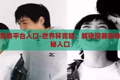 世界杯竞猜平台入口-世界杯竞猜，解锁观赛新体验的神秘入口，解锁观赛新体验，探索世界杯竞猜平台的神秘入口