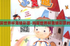 怎么买世界杯竞猜彩票-购买世界杯竞猜彩票的指南，世界杯竞猜彩票购买指南，轻松上手，享受足球盛宴的乐趣