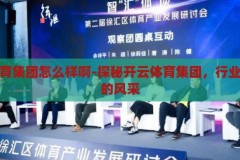 开云体育集团怎么样啊-探秘开云体育集团，行业领航者的风采，探秘开云体育集团，行业领航者的风采与实力
