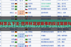 世界杯怎么下注-世界杯足球赛事的投注策略与技巧，世界杯足球赛事，下注策略与技巧指南