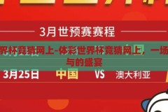 体彩世界杯竞猜网上-体彩世界杯竞猜网上，一场全民参与的盛宴，体彩世界杯竞猜网上，全民参与的盛宴