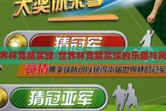 世界杯竞猜买球-世界杯竞猜买球的乐趣与风险，世界杯竞猜买球的乐趣与风险，一场激情与挑战的双重体验