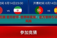 世界杯竞猜 官方软件-世界杯竞猜，官方软件引领观赛新风尚，官方软件引领新风尚，世界杯竞猜的精彩体验