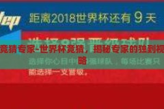 世界杯竞猜专家-世界杯竞猜，揭秘专家的独到视角与策略，世界杯竞猜专家，揭秘独到视角与制胜策略