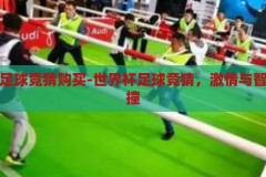 世界杯足球竞猜购买-世界杯足球竞猜，激情与智慧的碰撞，世界杯足球竞猜，激情与智慧的碰撞