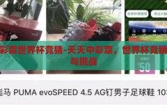 天天中彩票世界杯竞猜-天天中彩票，世界杯竞猜的乐趣与挑战，天天中彩票世界杯竞猜，乐趣与挑战并存