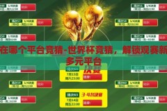 世界杯在哪个平台竞猜-世界杯竞猜，解锁观赛新体验的多元平台，解锁观赛新体验，世界杯竞猜的多元平台