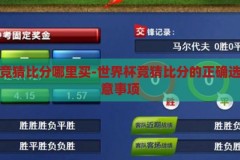 世界杯竞猜比分哪里买-世界杯竞猜比分的正确选择与注意事项，世界杯竞猜比分，正确选择与注意事项