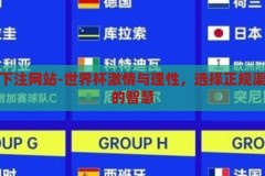 世界杯下注网站-世界杯激情与理性，选择正规渠道下注的智慧，理性与激情的碰撞，选择正规渠道下注，享受世界杯的智慧与乐趣