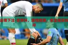 世界杯去哪下注-世界杯，理性观赛，安全娱乐的智慧选择，理性观赛，安全娱乐，世界杯的智慧选择