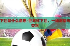世界杯下注是什么意思-世界杯下注，一场激情与策略的交织，世界杯下注，激情与策略的交织