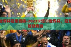 卡塔尔世界杯冠军竞猜-2023卡塔尔世界杯，冠军归属的智慧竞猜，2023卡塔尔世界杯，智慧竞猜，谁将问鼎冠军？