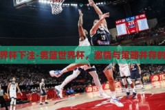 男篮世界杯下注-男篮世界杯，激情与策略并存的竞技场，男篮世界杯，激情与策略交织的竞技盛宴