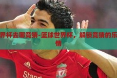 篮球世界杯去哪竞猜-篮球世界杯，解锁竞猜的乐趣与激情，解锁篮球世界杯竞猜，体验乐趣与激情的碰撞