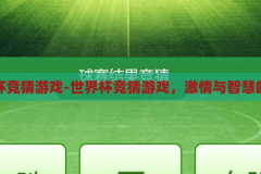 世界杯竞猜游戏-世界杯竞猜游戏，激情与智慧的碰撞，激情与智慧的碰撞，世界杯竞猜游戏