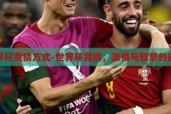 世界杯竞猜方式-世界杯竞猜，激情与智慧的碰撞，世界杯竞猜，激情与智慧的碰撞
