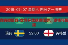 世界杯竞猜微信群-世界杯竞猜微信群，激情与智慧的碰撞，世界杯竞猜微信群，激情与智慧的激情碰撞