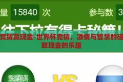 世界杯竞猜赢现金-世界杯竞猜，激情与智慧的碰撞，赢取现金的乐趣，激情与智慧的碰撞，世界杯竞猜赢取现金的乐趣