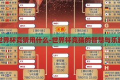 世界杯竞猜用什么-世界杯竞猜的智慧与乐趣，智慧与乐趣并存的世界杯竞猜，解锁观赛新体验