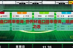 世界杯盘口赔率查询-世界杯盘口赔率查询，球迷的智慧之选，揭秘世界杯盘口赔率，球迷的智慧之选