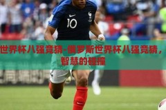 俄罗斯世界杯八强竞猜-俄罗斯世界杯八强竞猜，激情与智慧的碰撞，俄罗斯世界杯八强竞猜，激情与智慧的碰撞