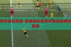 体彩世界杯单场竞猜-探索体彩世界杯单场竞猜的魅力与策略，体彩世界杯单场竞猜，解锁竞猜魅力与策略的奇妙之旅