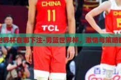 男篮世界杯在哪下注-男篮世界杯，激情与策略的交汇，男篮世界杯，激情与策略的交汇，下注的精彩时刻