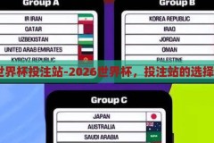 2026世界杯投注站-2026世界杯，投注站的选择与策略，2026世界杯，投注站的选择与策略