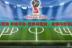 世界杯竞猜 竞猜平台-世界杯竞猜，激情与智慧的碰撞，世界杯竞猜，激情与智慧的碰撞，竞猜平台上的精彩对决