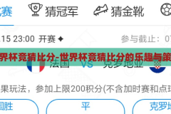 世界杯竞猜比分-世界杯竞猜比分的乐趣与策略，世界杯竞猜比分的乐趣与策略，解锁足球盛宴的独特体验
