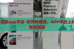 世界杯·竞猜app平台-世界杯竞猜，APP平台上的激情与智慧碰撞，世界杯竞猜APP，激情与智慧的碰撞舞台