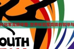 世界杯冠军竞猜停售-世界杯冠军竞猜的暂停与思考，世界杯冠军竞猜停售，暂停背后的思考与展望