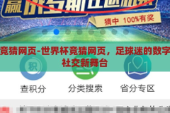 世界杯竞猜网页-世界杯竞猜网页，足球迷的数字乐园与社交新舞台，数字乐园与社交新舞台，世界杯竞猜网页的足球迷盛宴