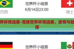 竞猜世界杯预选赛-竞猜世界杯预选赛，激情与智慧的碰撞，激情与智慧的碰撞，竞猜世界杯预选赛