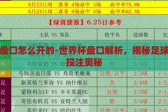 世界杯盘口怎么开的-世界杯盘口解析，揭秘足球赛事的投注奥秘，揭秘世界杯盘口，解析足球赛事的投注奥秘