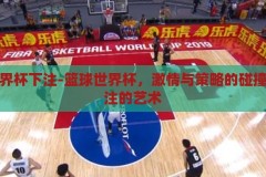 篮球世界杯下注-篮球世界杯，激情与策略的碰撞——下注的艺术，篮球世界杯，激情与策略的碰撞——下注的艺术