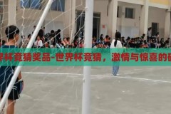世界杯竞猜奖品-世界杯竞猜，激情与惊喜的碰撞，世界杯竞猜，激情与惊喜的碰撞，赢取丰厚奖品