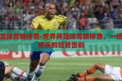 世界杯足球竞猜停售-世界杯足球竞猜停售，一场体育与娱乐的短暂告别，世界杯足球竞猜停售，体育与娱乐的短暂告别