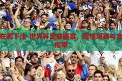 世界杯在哪下注-世界杯足球盛宴，理性观赛与合法下注指南，理性观赛与合法下注，世界杯足球盛宴的合法下注指南