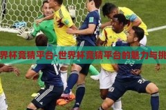 世界杯竞猜平台-世界杯竞猜平台的魅力与挑战，世界杯竞猜平台，魅力与挑战并存