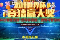 世界杯在哪里竞猜-世界杯竞猜，激情与智慧的碰撞，世界杯竞猜，激情与智慧的碰撞