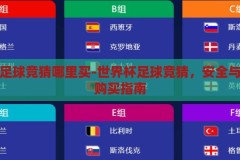 世界杯足球竞猜哪里买-世界杯足球竞猜，安全与便捷的购买指南，安全便捷的2023世界杯足球竞猜购买指南