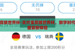 支付宝竞猜世界杯-支付宝竞猜世界杯，数字时代的足球盛宴新体验，支付宝竞猜世界杯，数字时代的足球盛宴新体验