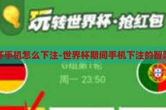 世界杯手机怎么下注-世界杯期间手机下注的智慧指南，世界杯手机下注智慧指南，轻松掌握赛事投注技巧